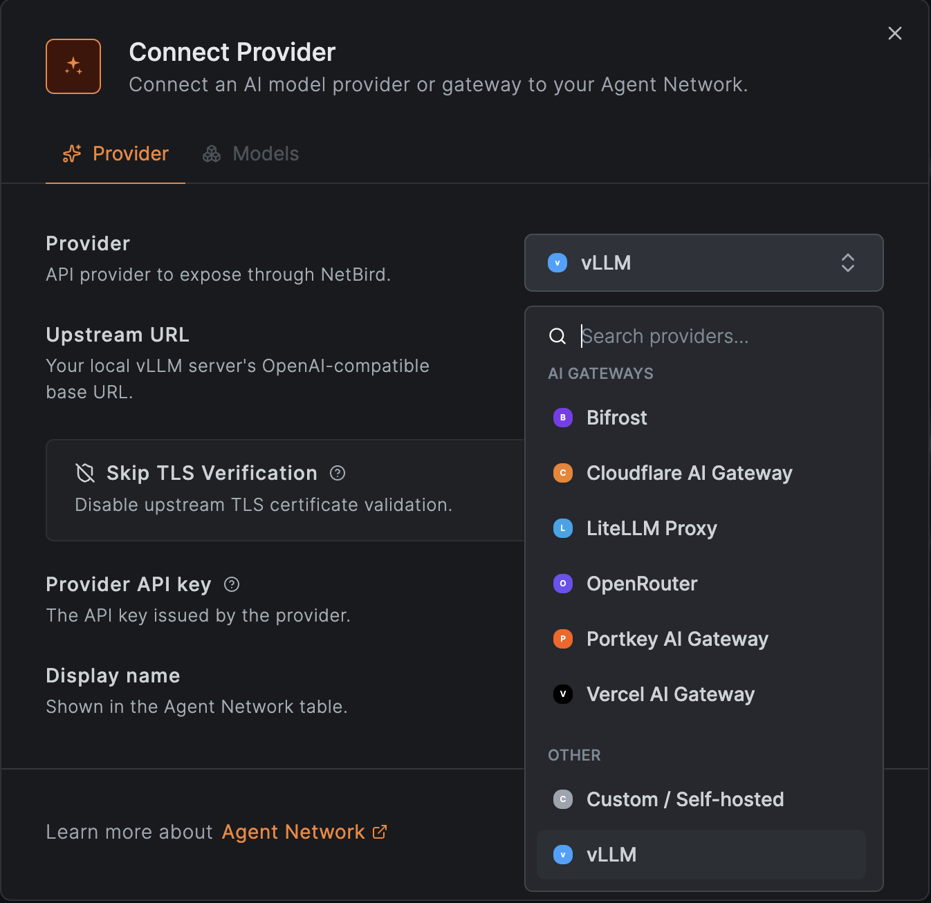 connect a self-hosted vLLM provider in NetBird Agent Network
