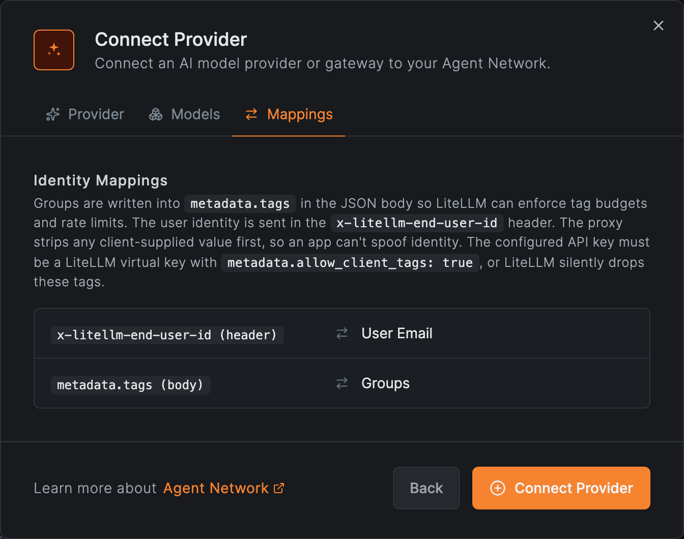 LiteLLM identity mappings: x-litellm-end-user-id to user email and metadata.tags to groups