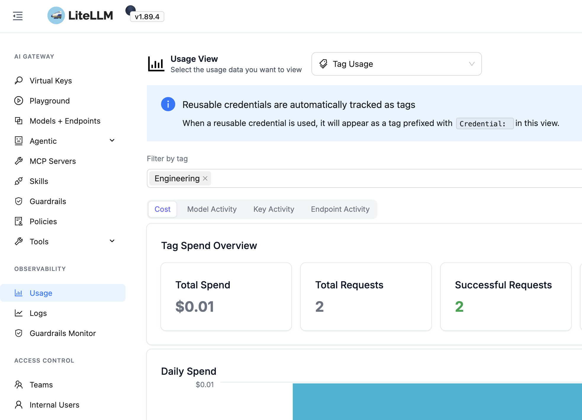 LiteLLM Tag Usage view showing spend for the Engineering group injected by NetBird
