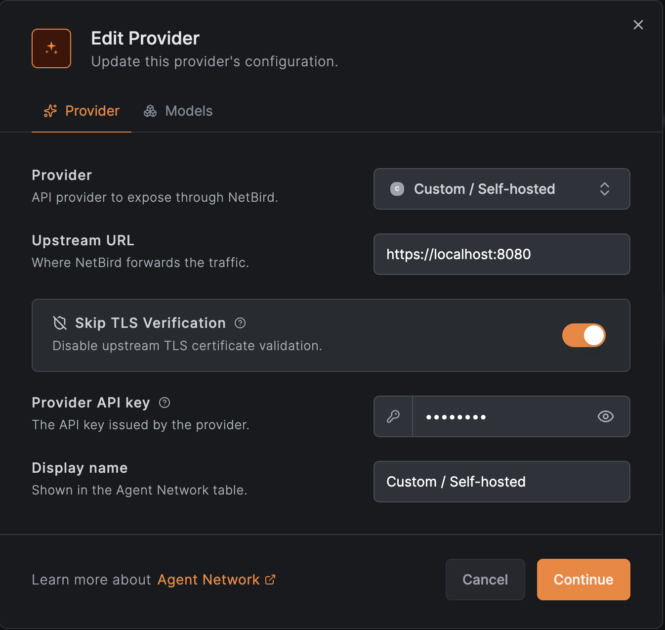 custom provider settings with the Skip TLS Verification switch