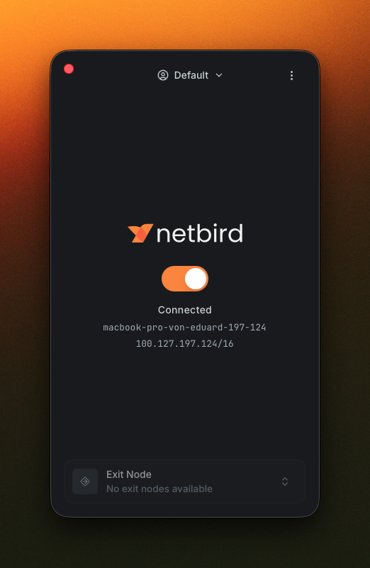 NetBird desktop app default view