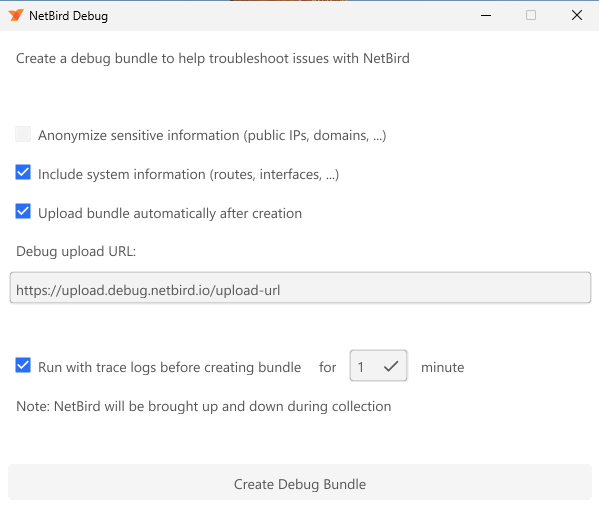 Debug bundle capture options in the NetBird desktop app