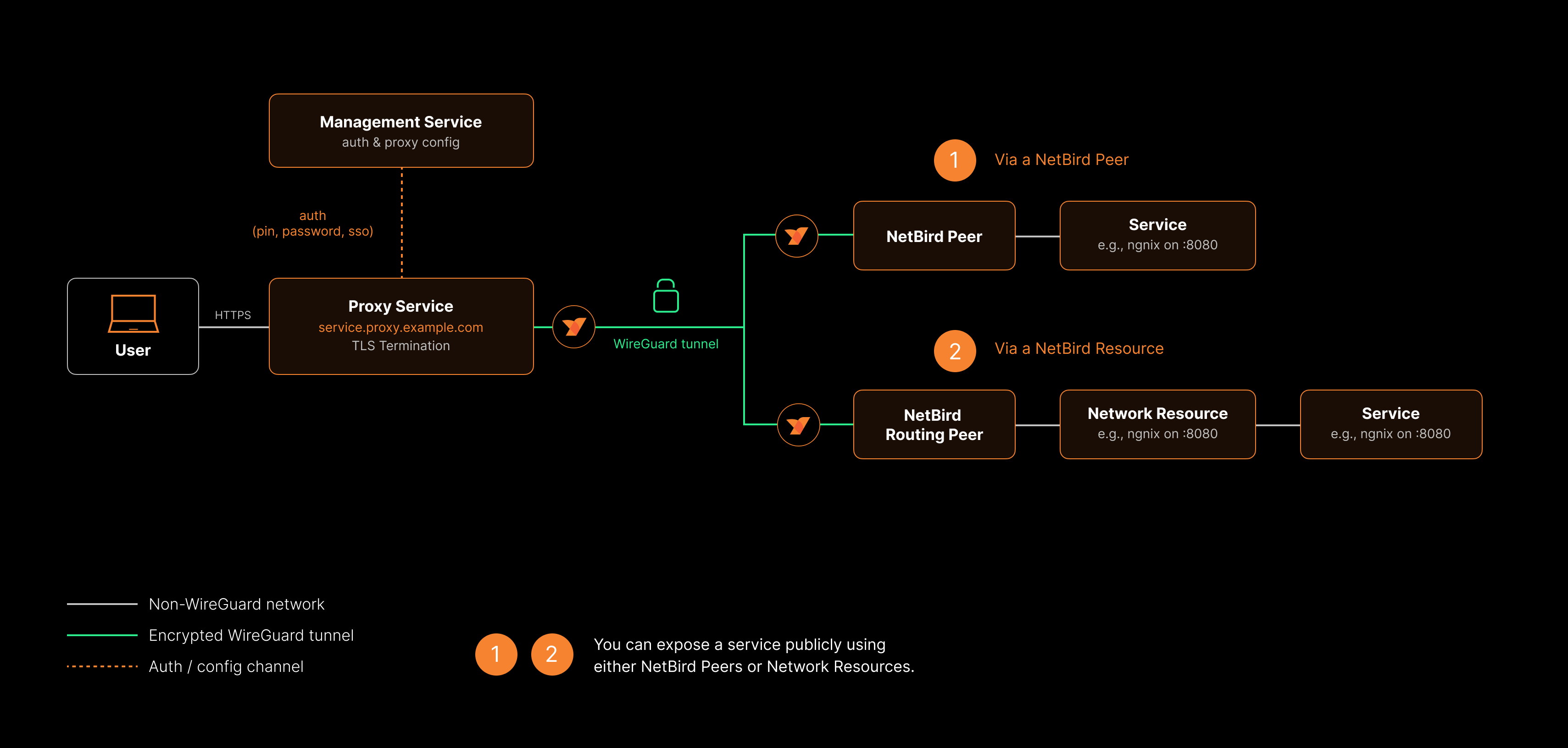 Reverse proxy traffic flow diagram showing User to Proxy Service (TLS) through WireGuard tunnel to either a NetBird Peer directly or via a Routing Peer to a Network Resource
