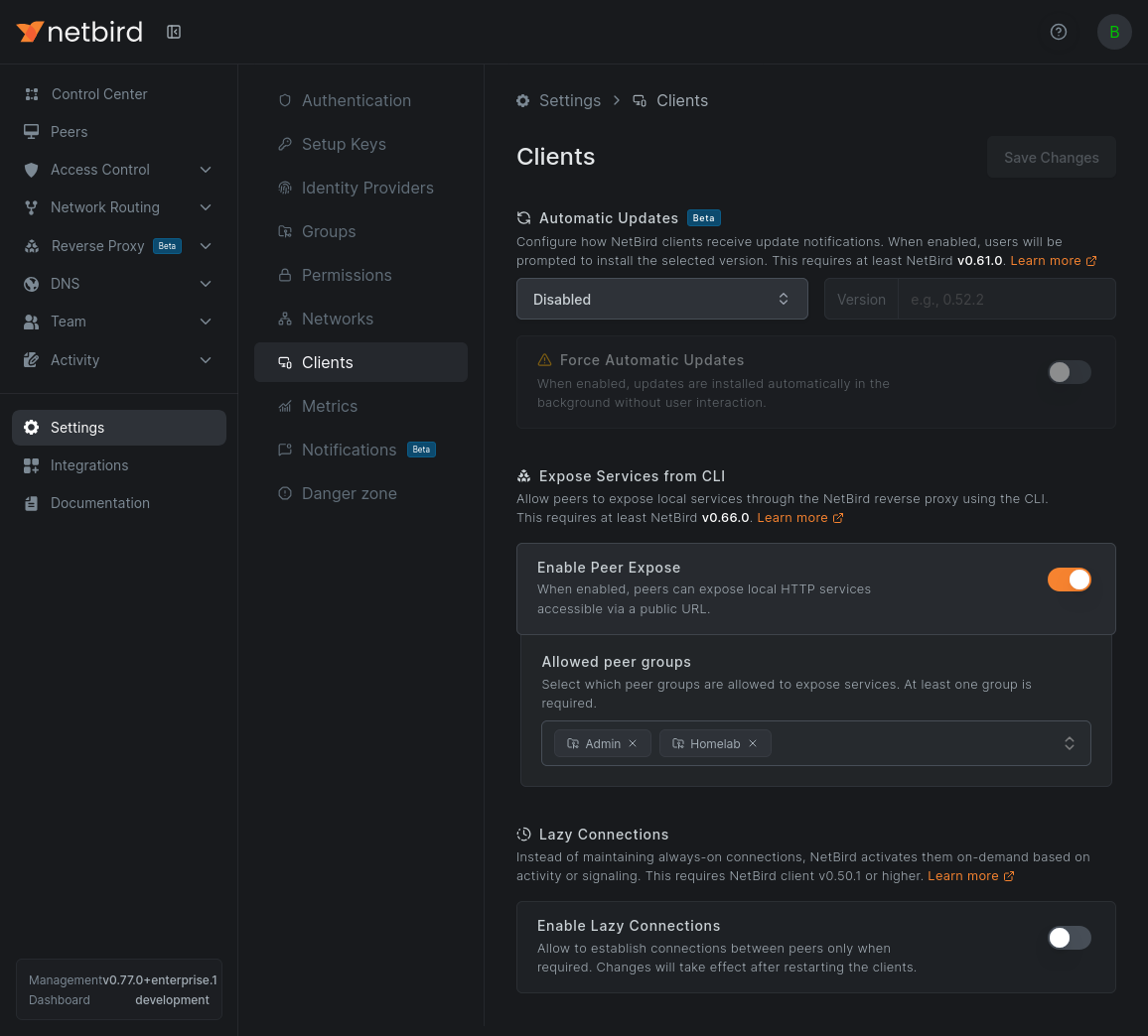 Client settings tab showing Automatic Updates, Expose Services from CLI, and Lazy Connections